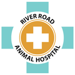 River Road Animal Hospital favicon