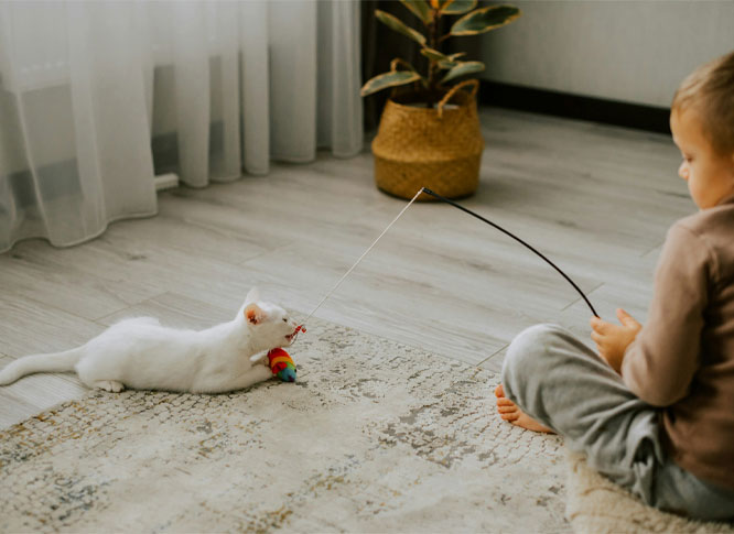A white cat playing with a kid