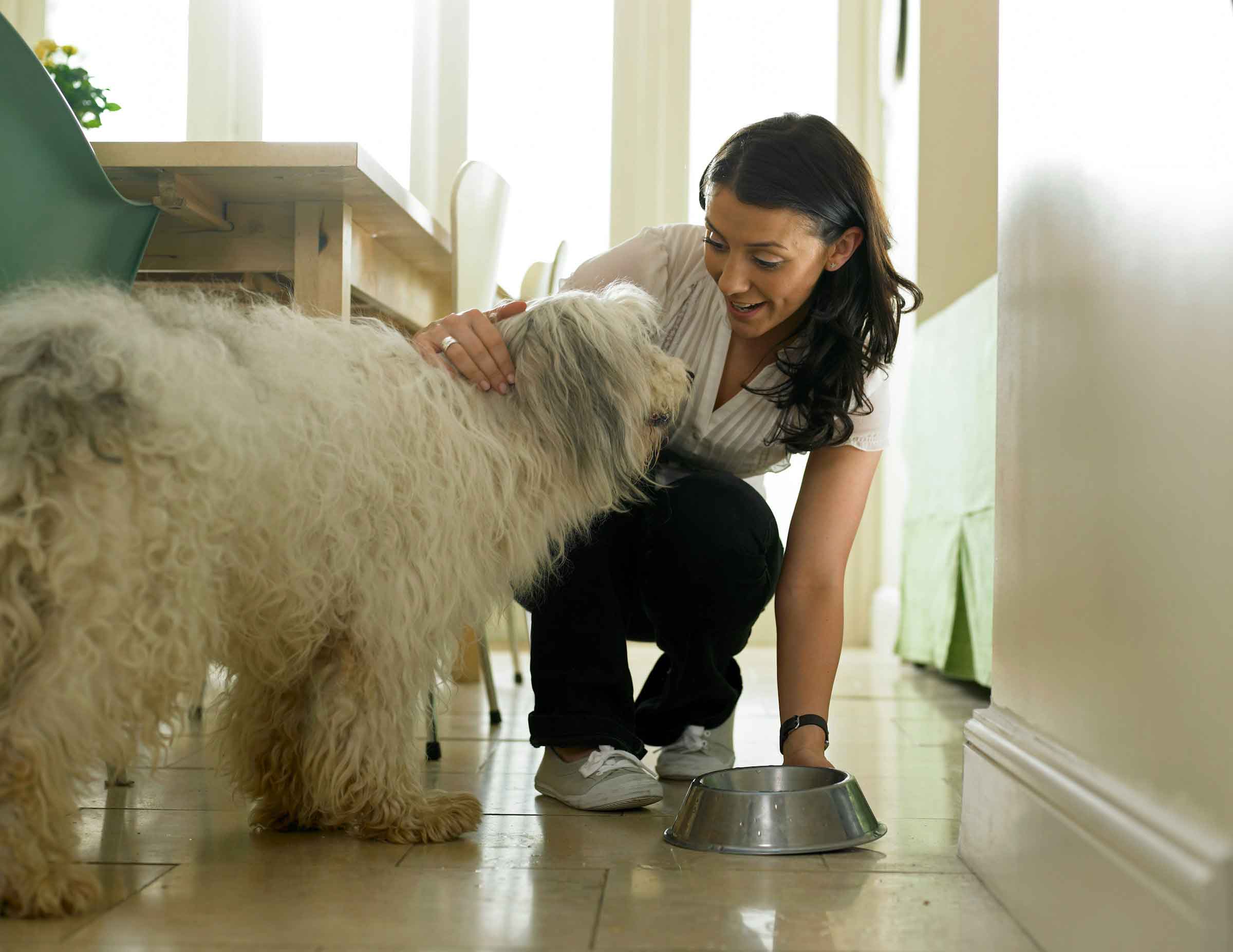 owner giving food to its dog in a bowl.